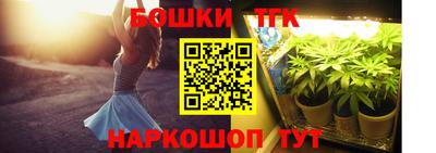 прущие грибы Лесосибирск