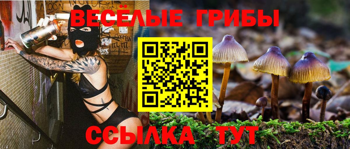Псилоцибиновые грибы Magic Shrooms  Вход с VPN  Грязи 