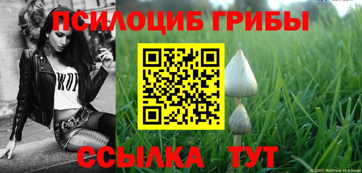 Галлюциногенные грибы MAGIC MUSHROOMS Грязи
